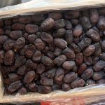کلوته  درشت  با رطوبت